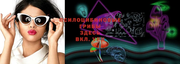 прущий лед Щучье