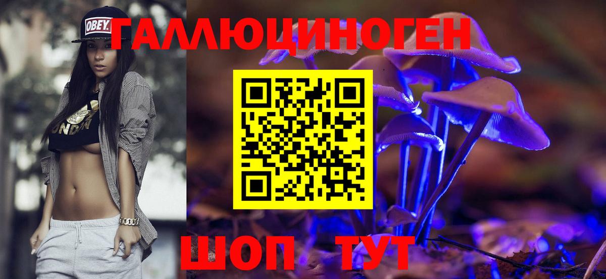 Псилоцибиновые грибы GOLDEN TEACHER Белореченск
